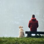 Rear view of young man with dog on lake lakeshore